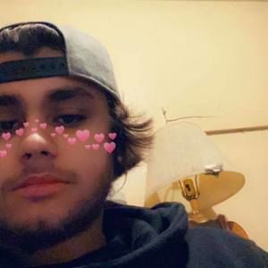 Meet your Posher, Benjamin